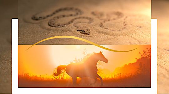 Z roku HADA do roku OHNIVÉHO KONĚ - najdisvakridla.cz